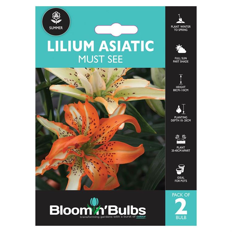 Picture of LILIUM MUST SEE 2PK