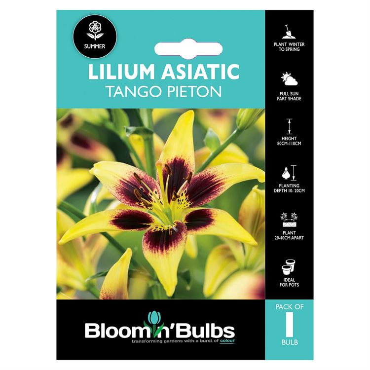 Bloomin Bulbs. Flower Bulbs