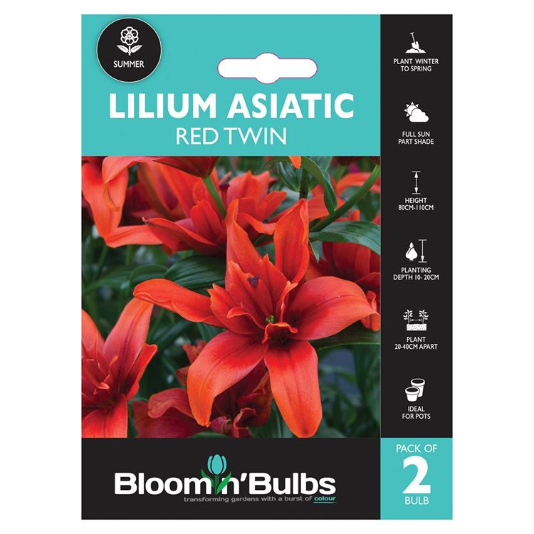 Picture of LILIUM RED TWIN 2PK