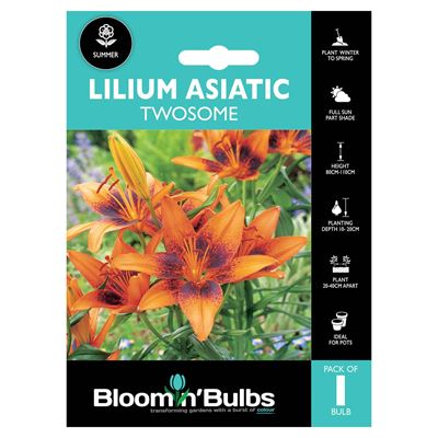 Picture of LILIUM TWOSOME 1pk