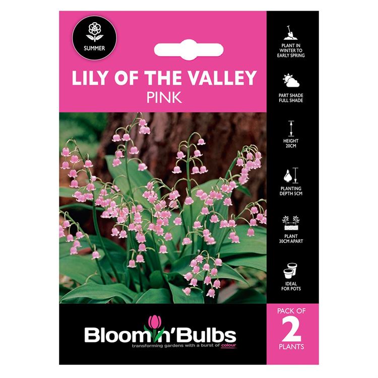 Picture of LILY OF THE VALLEY PINK 2pk