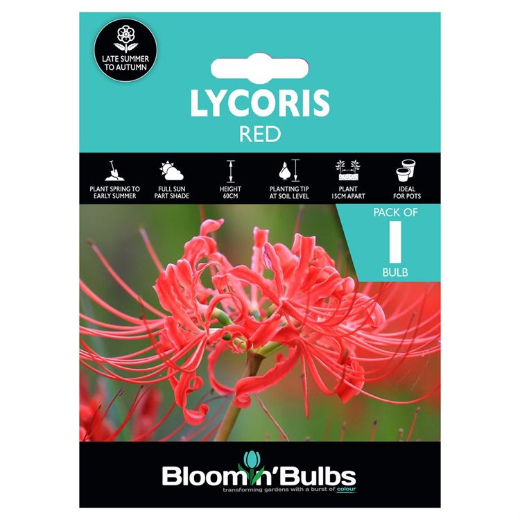 Picture of LYCORS RED  1pk