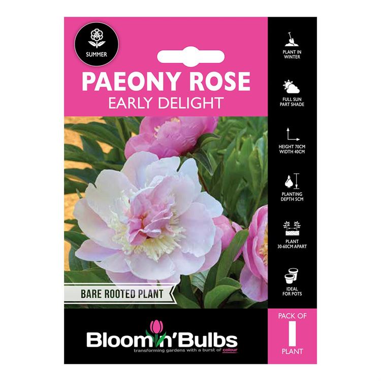 Picture of PAEONY ROSE EARLY DELIGHT 1pk
