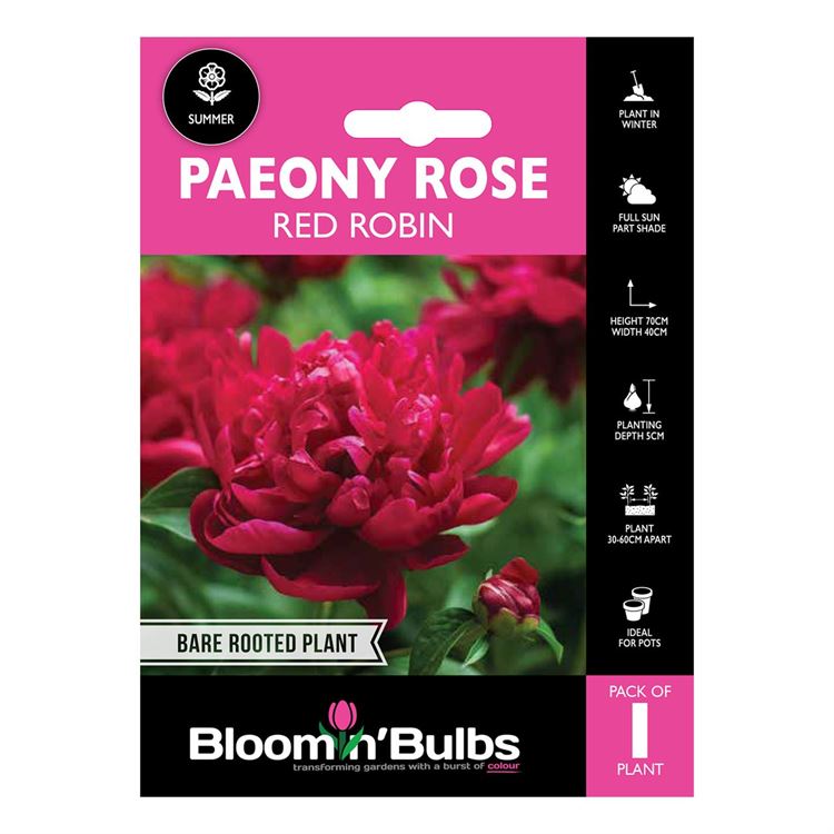 Picture of PAEONY ROSE RED ROBIN 1pk