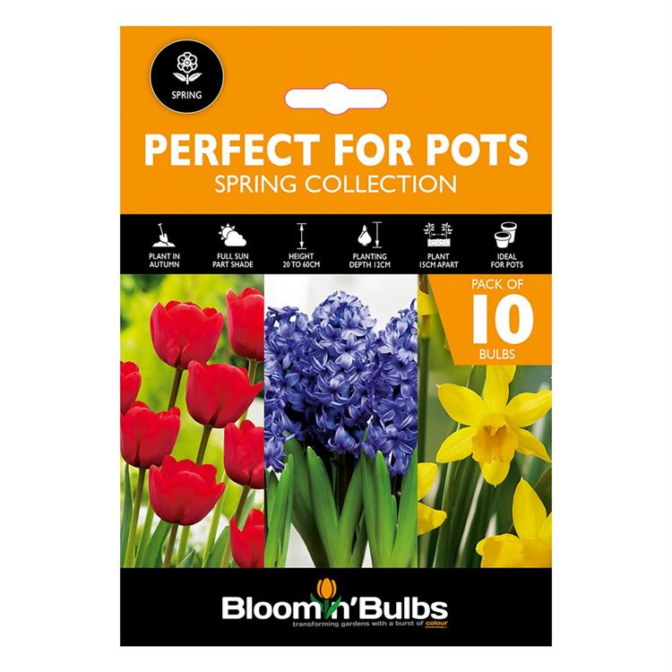 Picture of PERFECT FOR POTS - Spring Collection 10PK