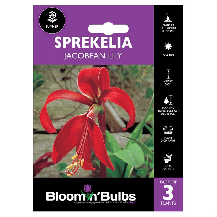 Picture of SPREKELIA 3pk