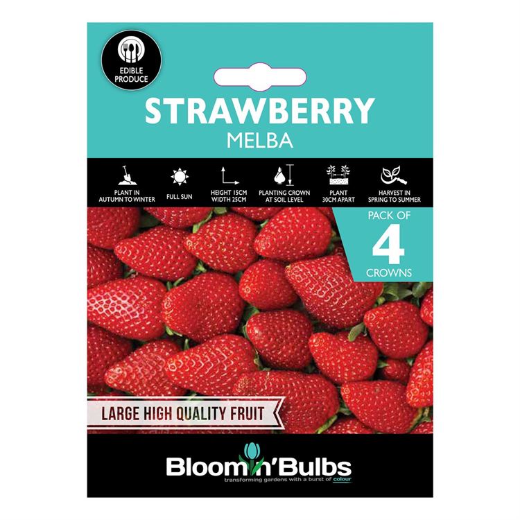 Picture of STRAWBERRY MELBA 4pk
