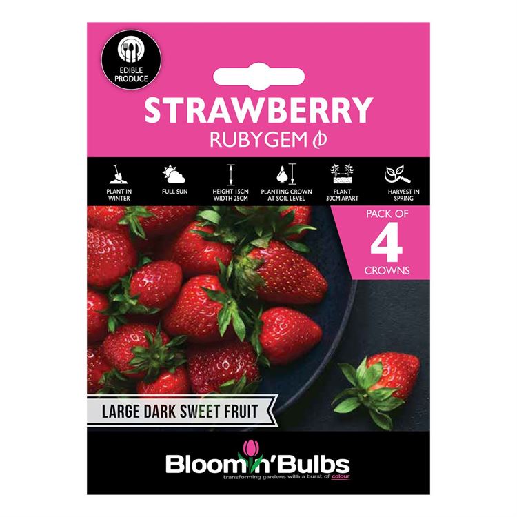 Picture of STRAWBERRY RUBYGEM 4pk