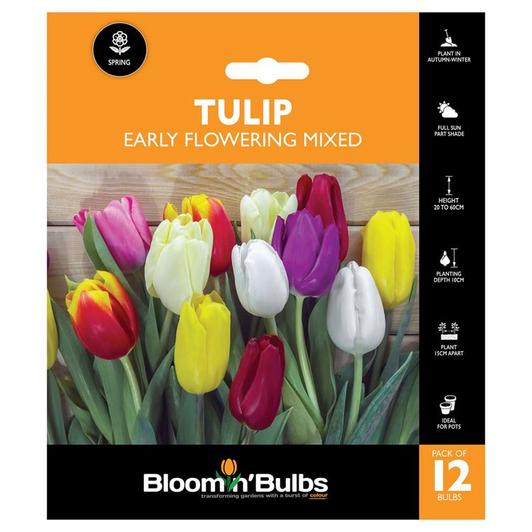 Picture of TULIP EARLY FLOWERING MIXED 12PK