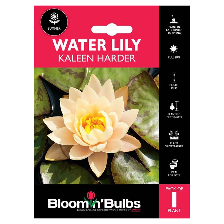 Picture of WATER LILY KALEEN HARDER 1pk