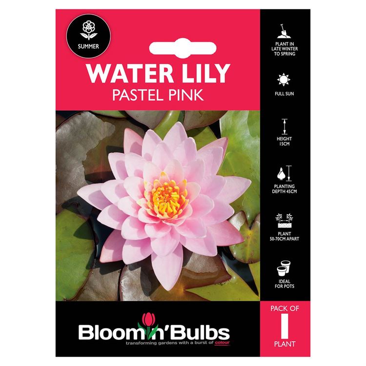 Picture of WATER LILY PASTEL PINK 1pk