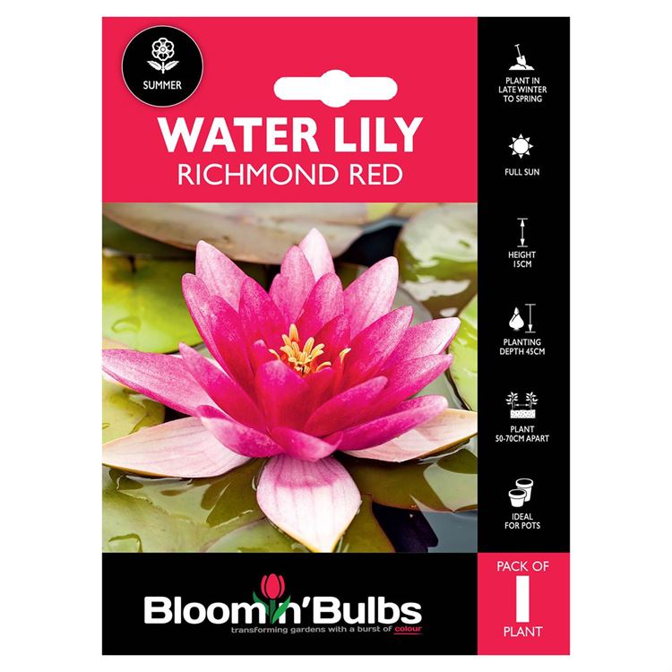 Picture of WATER LILY RICHMOND RED 1pk