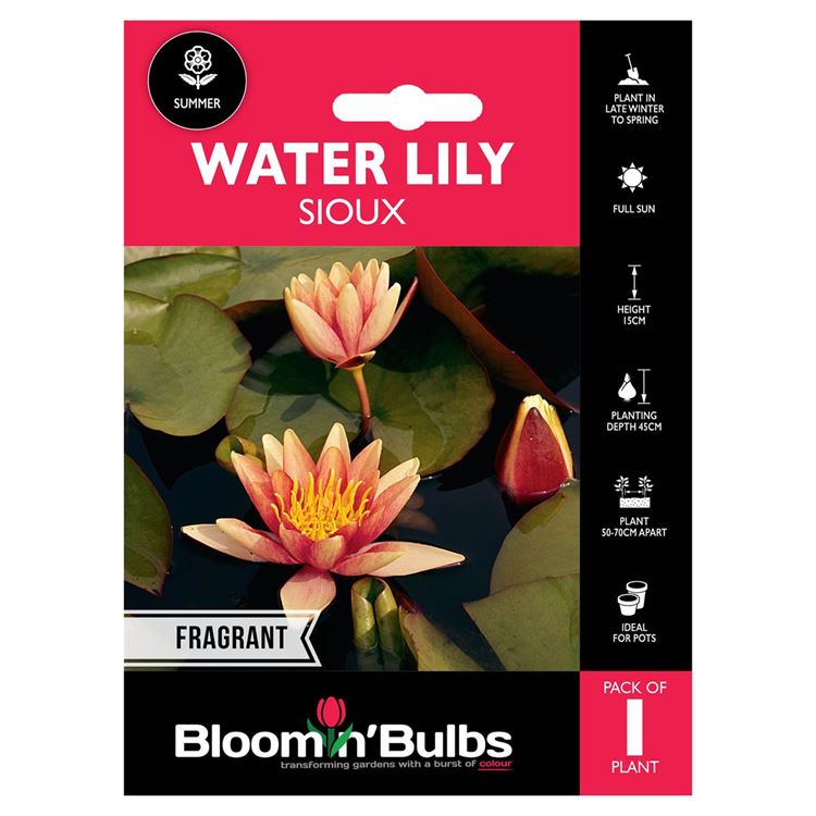 Picture of WATER LILY SIOUX 1pk