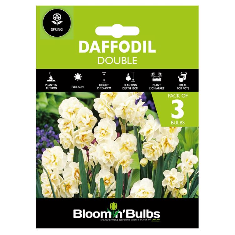 Picture of DAFFODIL DOUBLE 3pk