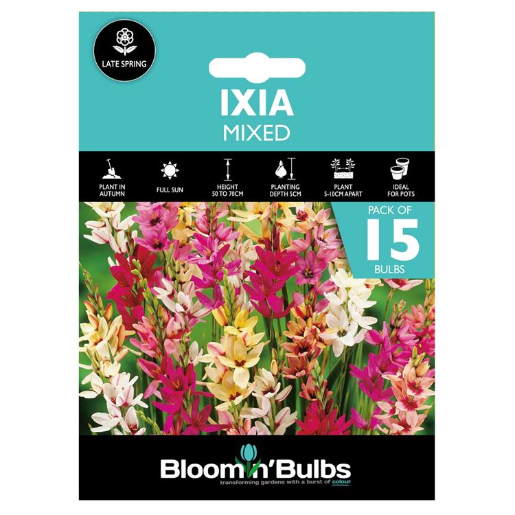 Picture of IXIA MIXED 15pk