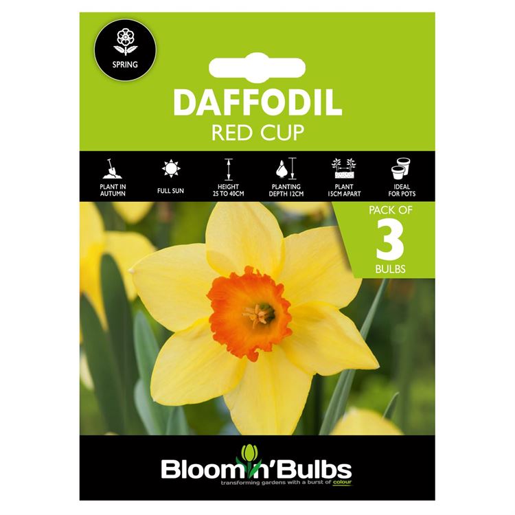 Picture of DAFFODIL RED CUP 3pk
