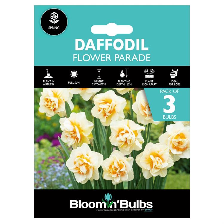 Picture of DAFFODIL FLOWER PARADE 3pk