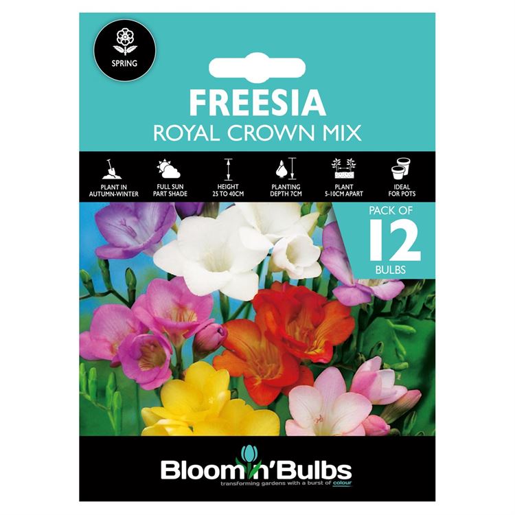 Picture of FREESIA ROYAL CROWN MIX 12pk 
