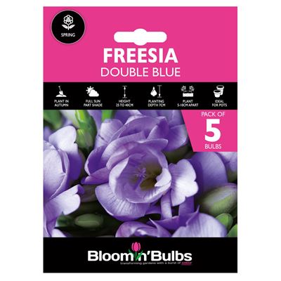 Picture of FREESIA DOUBLE BLUE 5pk