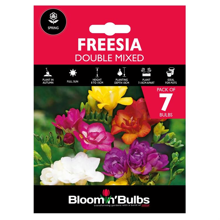 Picture of FREESIA DOUBLE MIXED 7pk