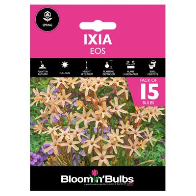 Picture of IXIA EOS 15pk