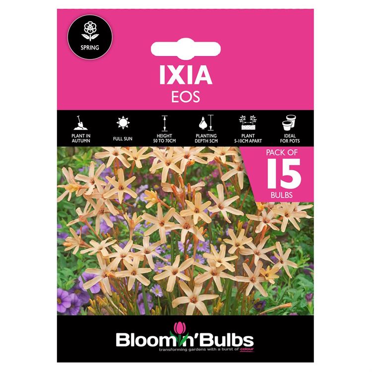 Picture of IXIA EOS 15pk