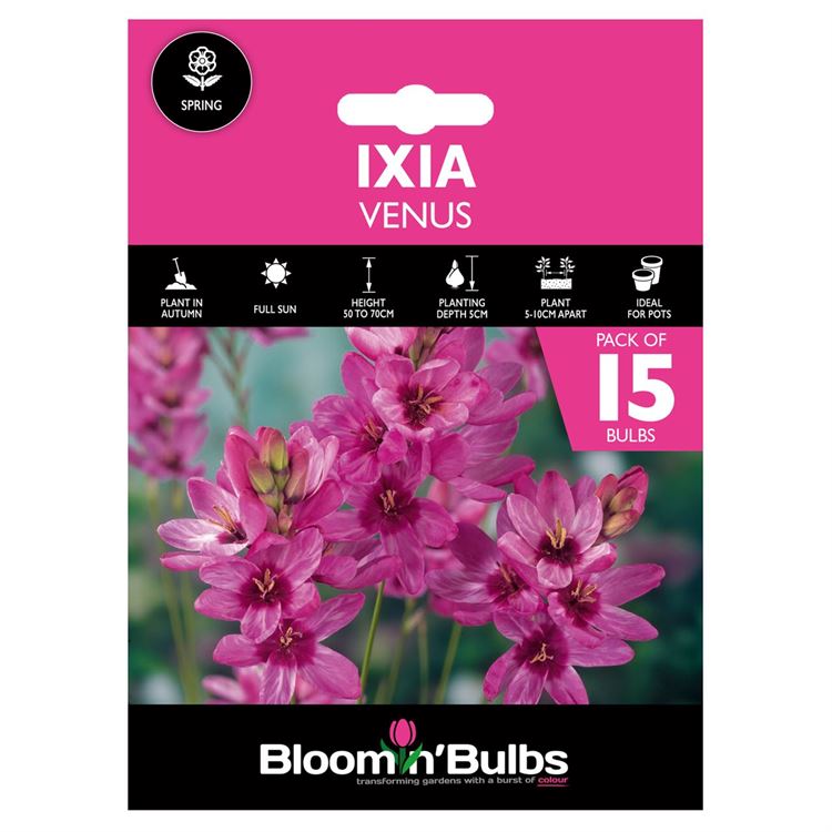 Picture of IXIA VENUS 15pk