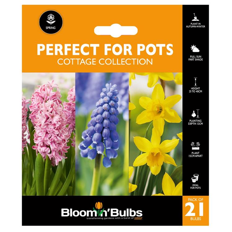 Picture of PERFECT FOR POTS - Cottage Collection 21PK