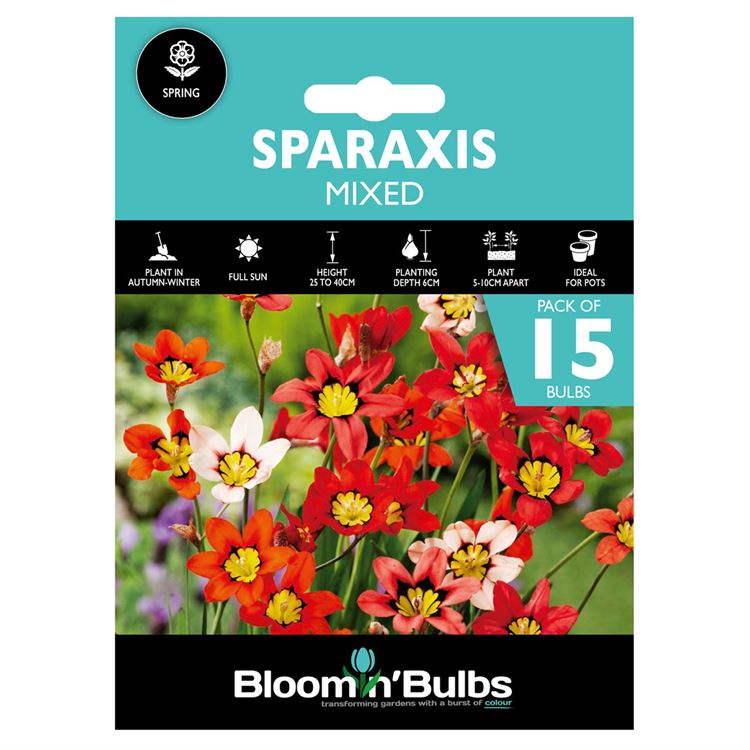 Picture of SPARAXIS MIXED 15pk