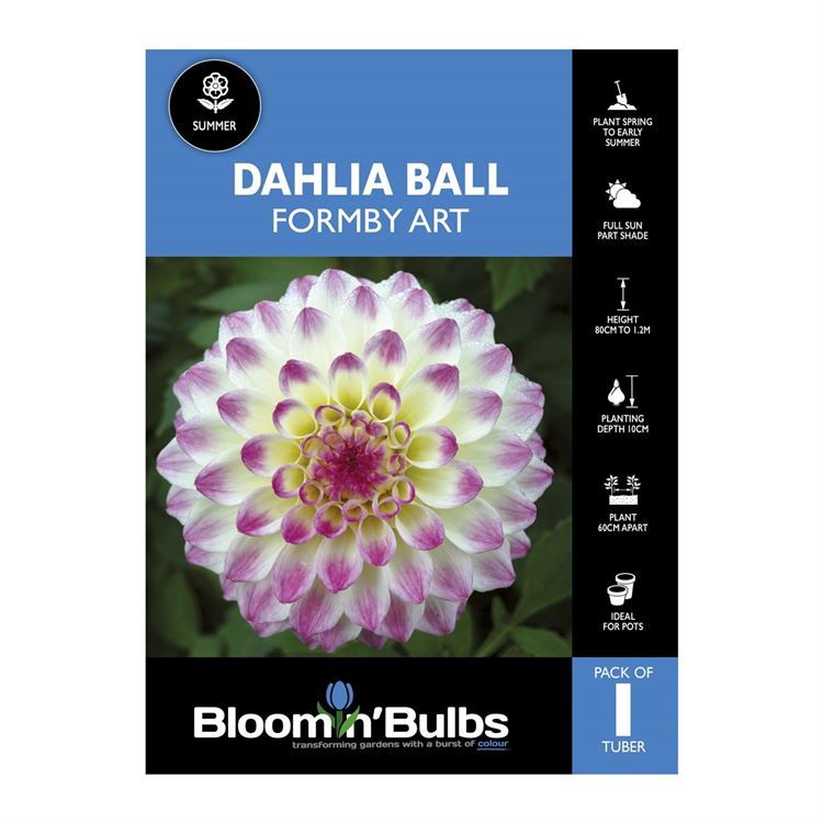 Picture of Dahlia Formby Art 1 Pack