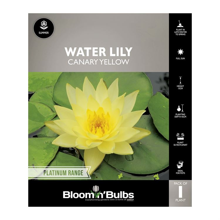 Picture of Water Lily Canary Yellow 1 Pack