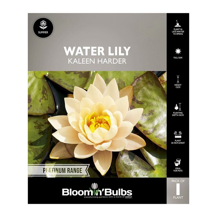 Picture of Water Lily Kaleen Harder 1 Pack