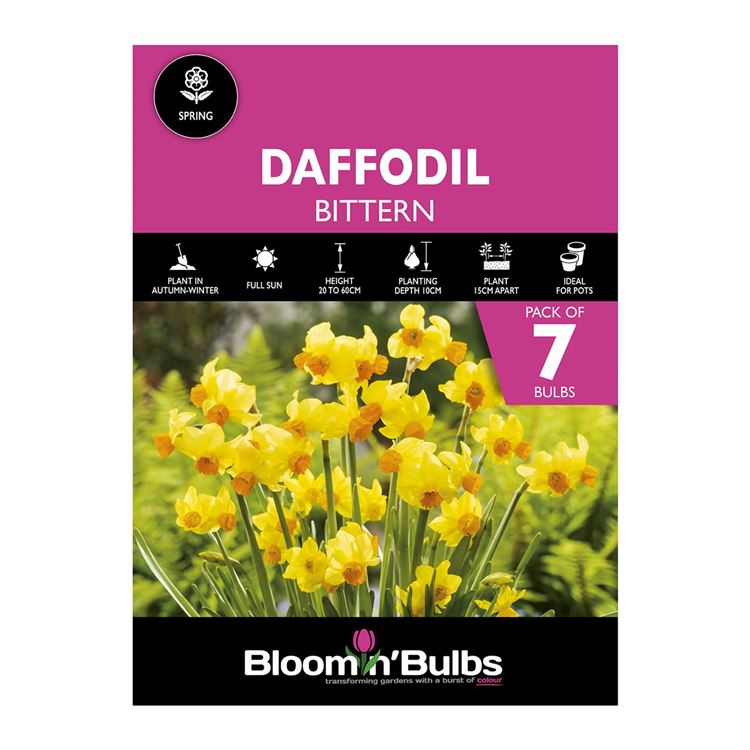 Picture of DAFFODIL BITTERN 7PK