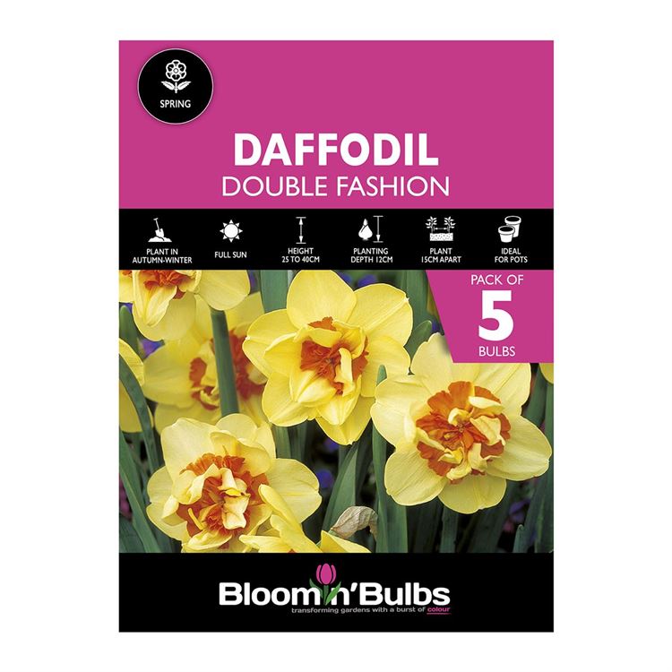 Picture of DAFFODIL DOUBLE FASHION 5pk