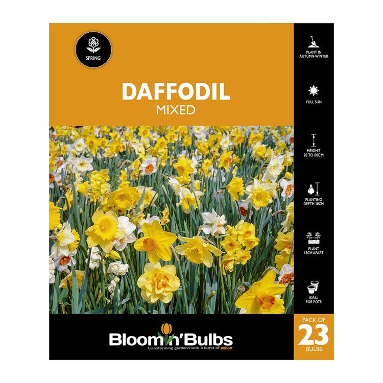 Picture of DAFFODIL GARDEN MIXED 23PK