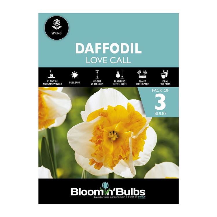 Picture of DAFFODIL LOVE CALL 3pk