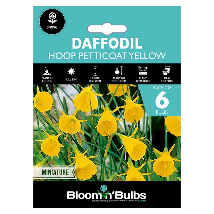 Picture of DAFFODIL HOOP PETTICOAT YELLOW 6pk