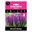 Picture of HYACINTH PURPLE 4pk