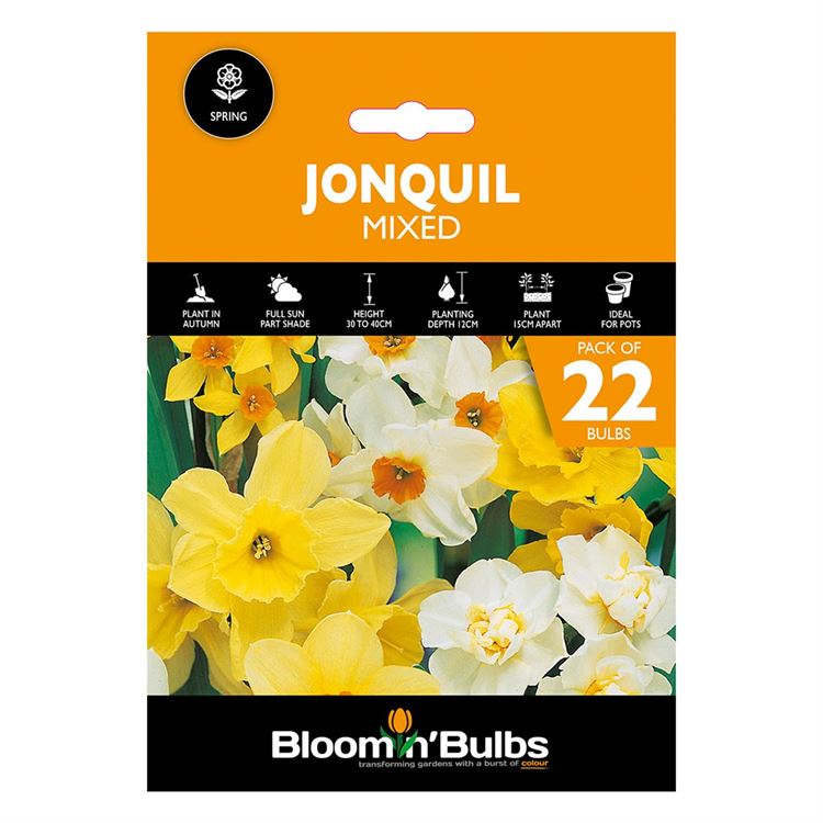 Picture of JONQUIL MIXED 22PK