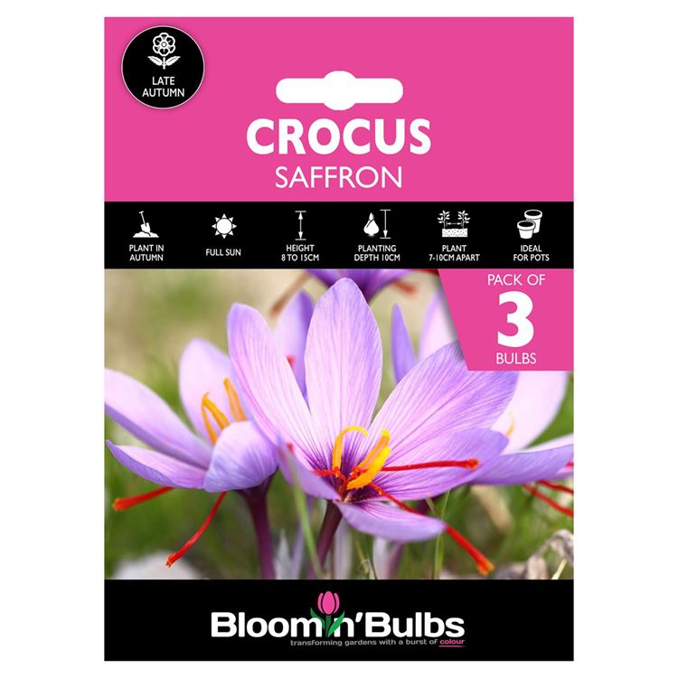 Picture of CROCUS SATIVA (SAFFRON) 3pk
