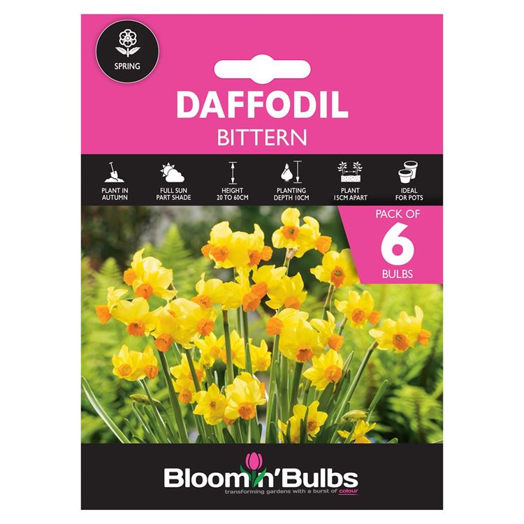 Picture of DAFFODIL BITTERN 6pk
