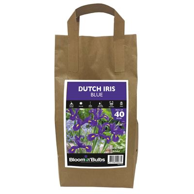 Picture of DUTCH IRIS BLUE 40pk BULK DEAL