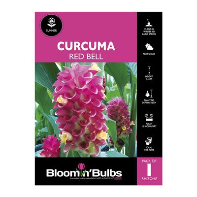 Picture of Curcuma Red Bell 1 Pack