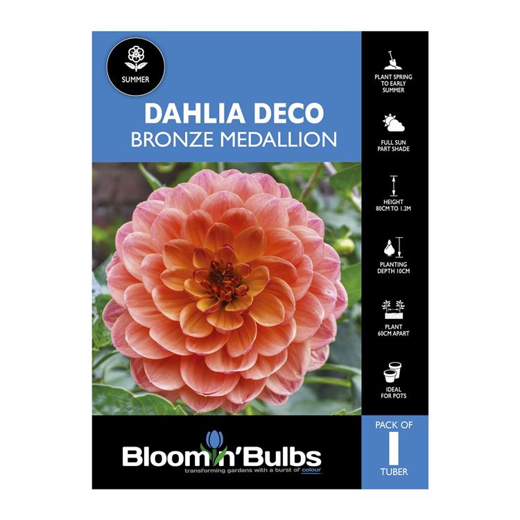 Picture of Dahlia Bronze Medallion 1 Pack