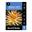 Picture of Dahlia Mountain Aurora 1 Pack
