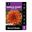 Picture of Dahlia Tiger Bey 1 Pack