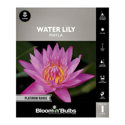 Picture of Water Lily Mayla 1 Pack