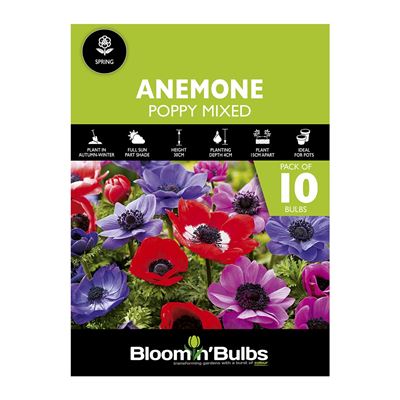Picture of ANEMONE POPPY MIXED 10pk