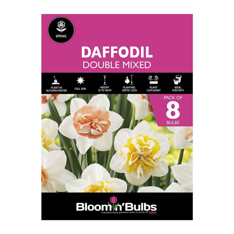 Picture of DAFFODIL DOUBLE MIXED 8pk