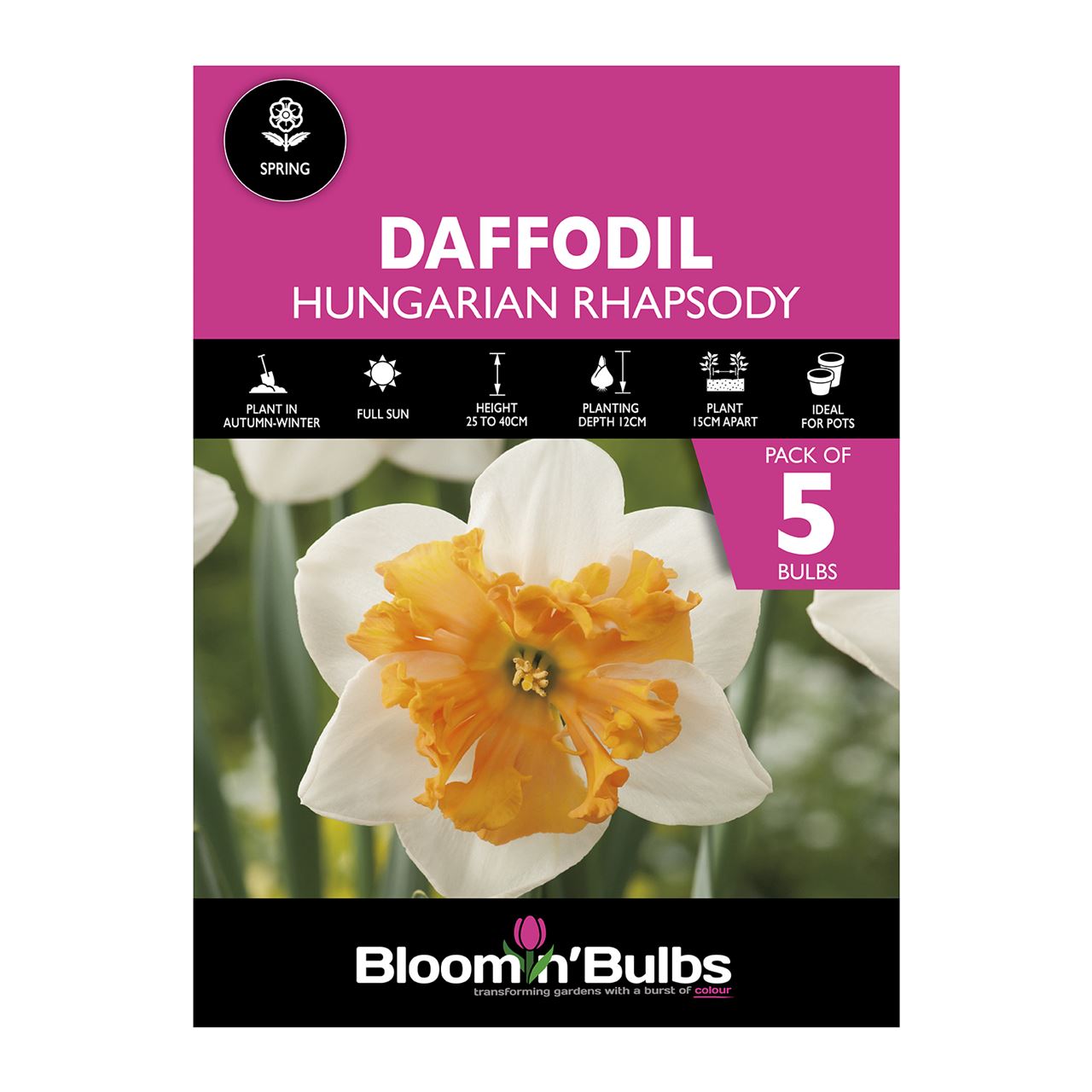 Bloomin Bulbs. DAFFODIL HUNGARIAN RHAPSODY 5pk